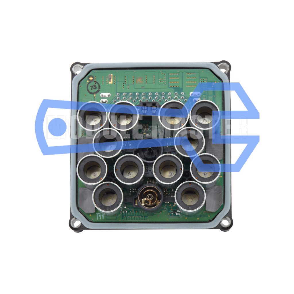 Audi TRW EBC Rebuild – Module Master
